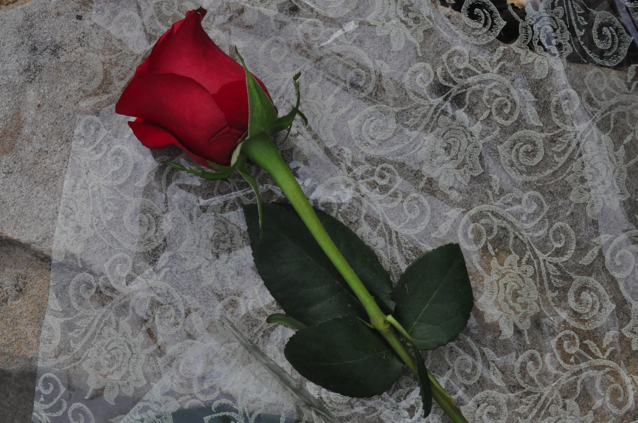 vera-koo-rose-Bianchi Cup