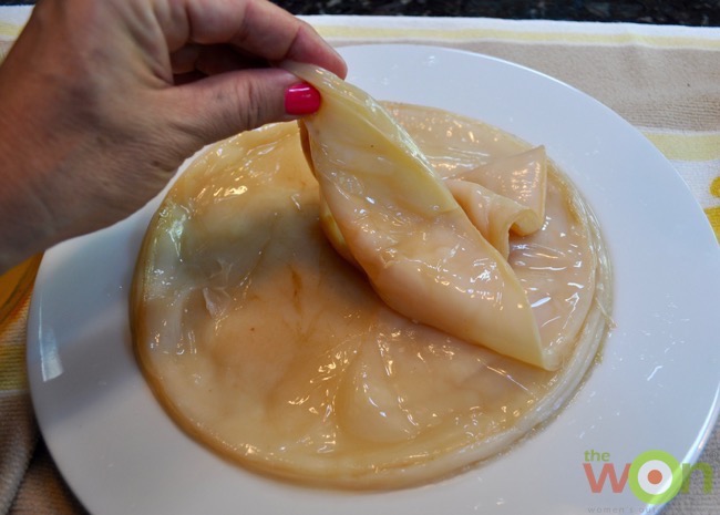 Kombucha-scoby