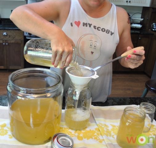 Kombucha
