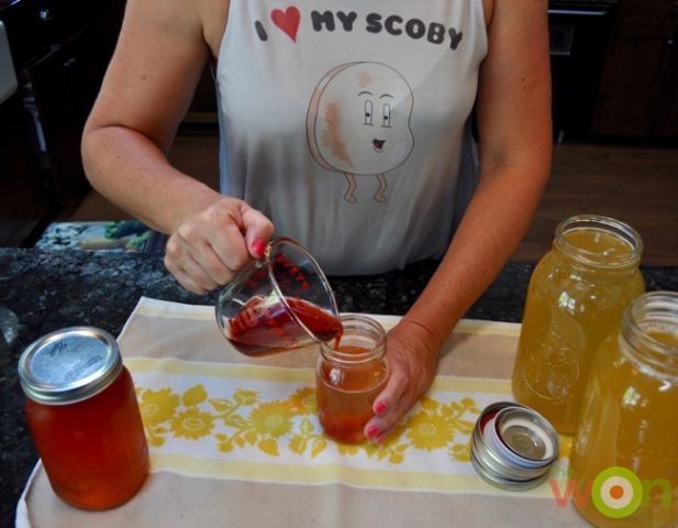 Kombucha